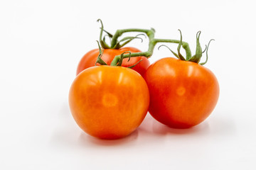 Three red tomatoes with branch
