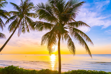 Obraz na płótnie Canvas Beautiful outdoor nature landscape of sea and beach with coconut palm tree