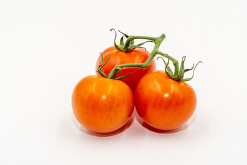 Three red tomatoes with branch