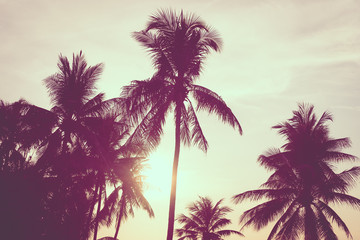 Fototapeta na wymiar Beautiful outdoor nature landscape of sea and beach with coconut palm tree