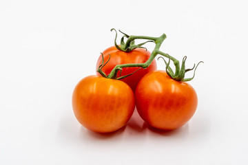 Three red tomatoes with branch