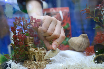 Girl's hand arranging decorations in an empty aquarium
