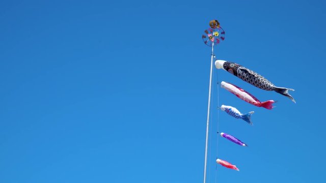 気持ちよさそうに青空を泳ぐ鯉のぼり