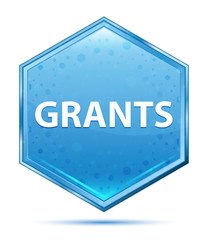 Grants crystal blue hexagon button