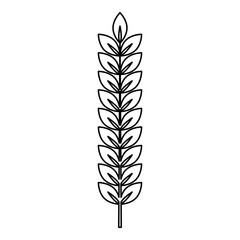 Spikelet of wheat Plant branch icon outline black color vector illustration flat style image
