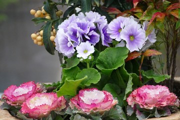 《ブルーメッセ秋田》秋田県潟上市