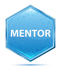 Mentor crystal blue hexagon button
