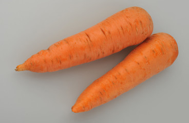 Two large carrots on an isolated gray background