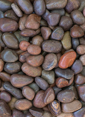 smooth colored pebbles, decorative background of stones