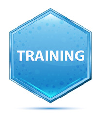 Training crystal blue hexagon button