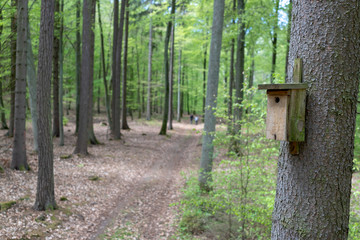 Birdcage attached to a tree in the forest. A shelter for birds seen from above.