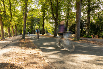 muenster promenade with bikes and motion blur