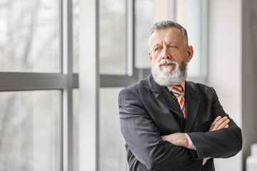 Handsome mature businessman near window in office