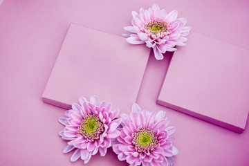 Close up composition with pink flowers in colorful pink paper background. Copy space, background, top view. For jewelry set.