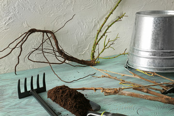 Seedlings with tools, soil and bucket on wooden table