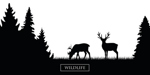 two wildlife reindeer silhouette in the forest on the meadow black and white vector illustration EPS10