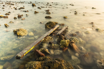 Wood waste on the rocky beach in a sunset sky.Thailand.