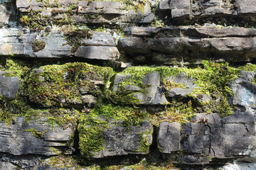 stone wall with moss and stones