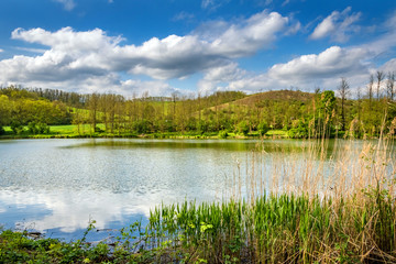 Fototapeta na wymiar Pond in spring countryside under beautiful cloudy sky