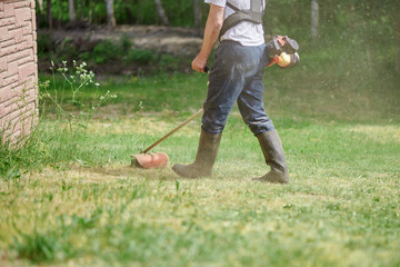 European man is mowing the lawn on his countryside plot.