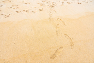 Footprints in Sand on Beach on a Sunny Day.