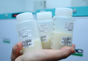 At the Human Milk Bank laboratory. Lab assistant hands holding  breast milk storage containers with...