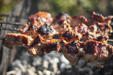 Grilled kebab cooking on metal skewer. Roasted meat cooked at barbecue. BBQ fresh beef meat chop slices.Grill on charcoal and flame, picnic, street food