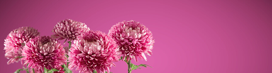 image of beautiful flowers on a red background