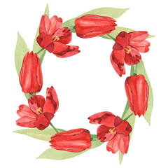 Red tulip floral botanical flowers. Watercolor background illustration set. Frame border ornament square.