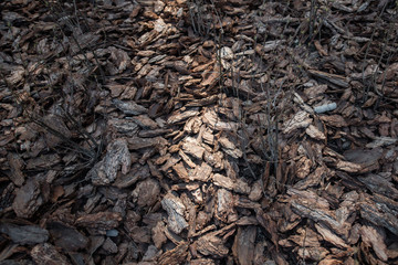 Clean, fresh, pine bark mulch beautifully illuminated by the sun.