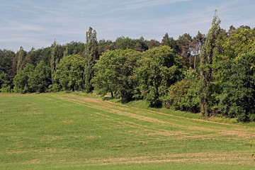 Fototapeta na wymiar Fränkische Landschaft im Frühling