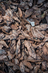 Clean, fresh, pine bark mulch beautifully illuminated by the sun.