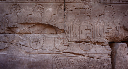 hieroglyph texture from Egypt karnak