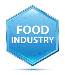 Food Industry crystal blue hexagon button
