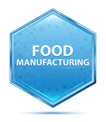 Food Manufacturing crystal blue hexagon button