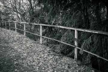 old railing in nature