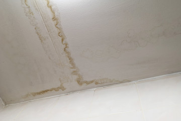 Rainwater leaks from the roof cause damage to the ceiling and tiles and gypsum board ,empty space for text.