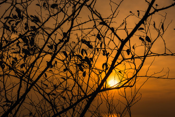 The sun is falling in sunset time at Promthep Cape in Phuket, Thailand.