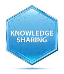 Knowledge Sharing crystal blue hexagon button
