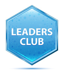 Leaders Club crystal blue hexagon button