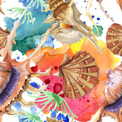 Summer beach seashell tropical elements. Watercolor background illustration set. Seamless background pattern.