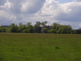 Meadow landscape at the "Mulde" near Eilenburg