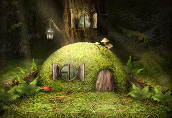  A small green house in the woods near a tree with a round window with a fern and mushrooms. © lubomira08