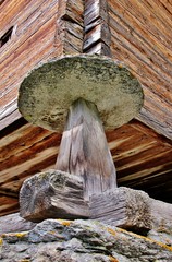 Mäuseplatte an einem Walliser Haus