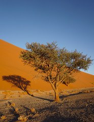 Namibian Sand dunes