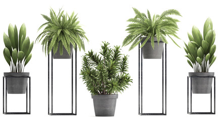 collection of ornamental plants in pots	