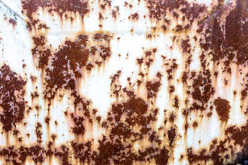 iron wall with rust. grunge texture. background for the designer. corrosion of metal