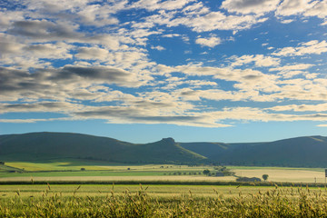 Hilly landscape with corn field immature dominated by clouds: Alta Murgia National Park, Apulia (Italy).