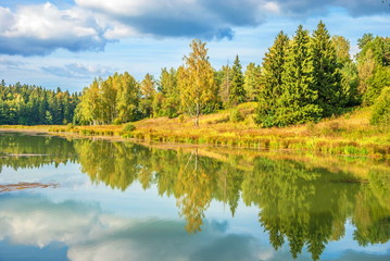 Reflection of  autumn forest in river