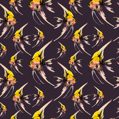 Fototapeta premium Seamless pattern with tropical scalar fish. Watercolor illustration with hand drawn aquarium exotic fish on black background.